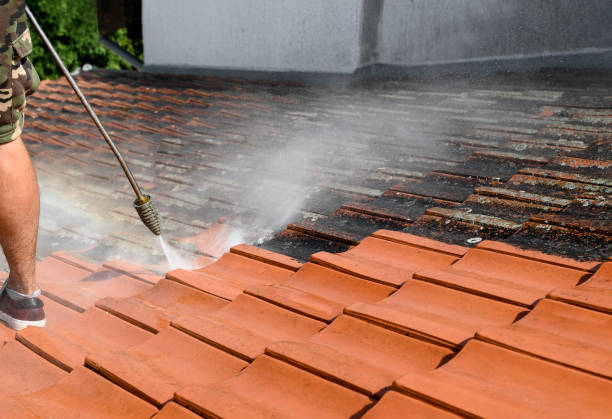Best Power Washing Near Me  in Hebron, IL